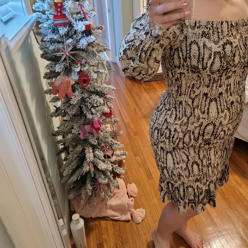 NWT Dress Large
